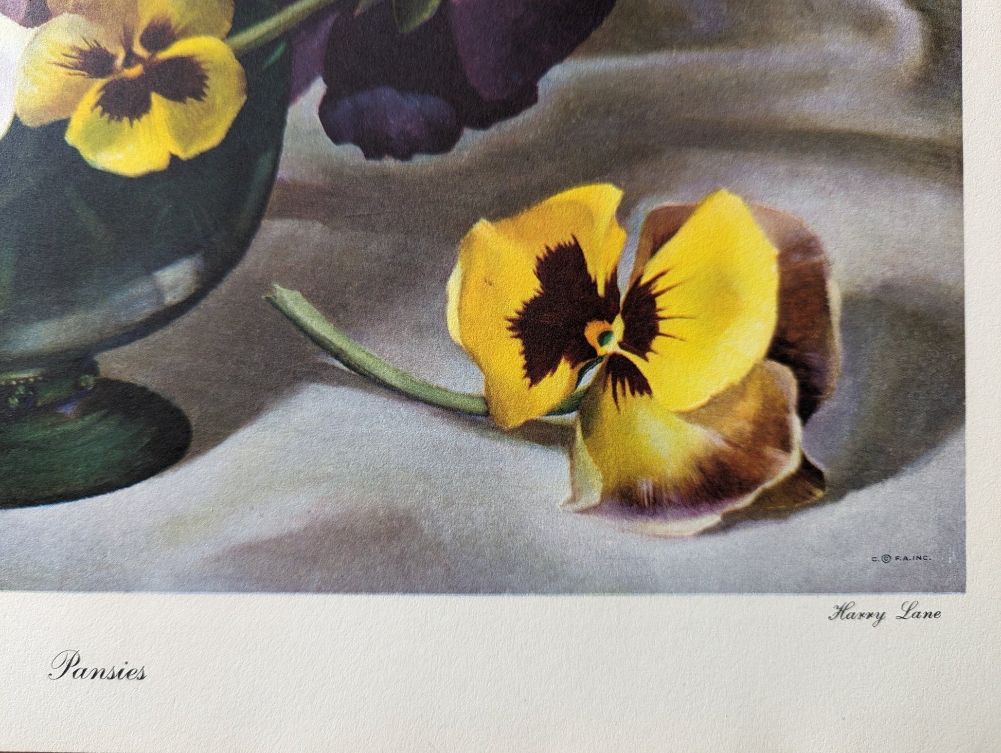 Pansies, still life by Harry Lane, mint condition vintage lithograph printed in 1945 - Offset Lithograph - Pink Flamingos