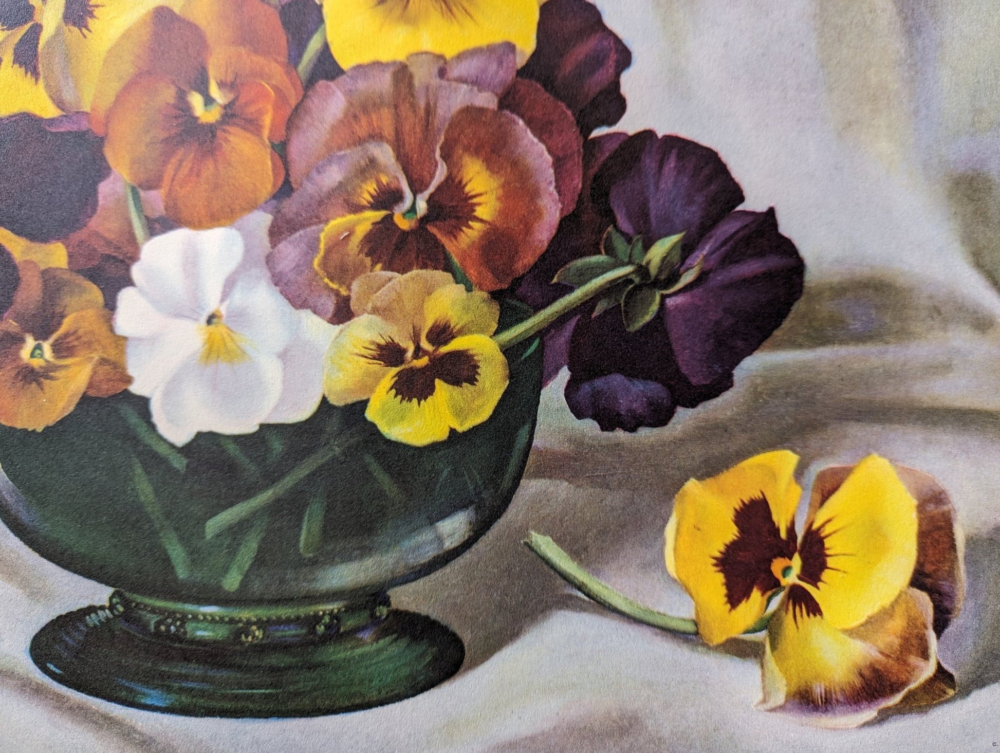 Pansies, still life by Harry Lane, mint condition vintage lithograph printed in 1945 - Offset Lithograph - Pink Flamingos