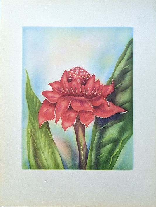 Red Ginger, mint condition vintage lithograph printed circa 1940 - Offset Lithograph - Pink Flamingos