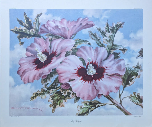 Sky Hibiscus by Erich F.T. Schenk, mint condition authentic vintage lithograph printed in 1947 - Offset Lithograph - Pink Flamingos