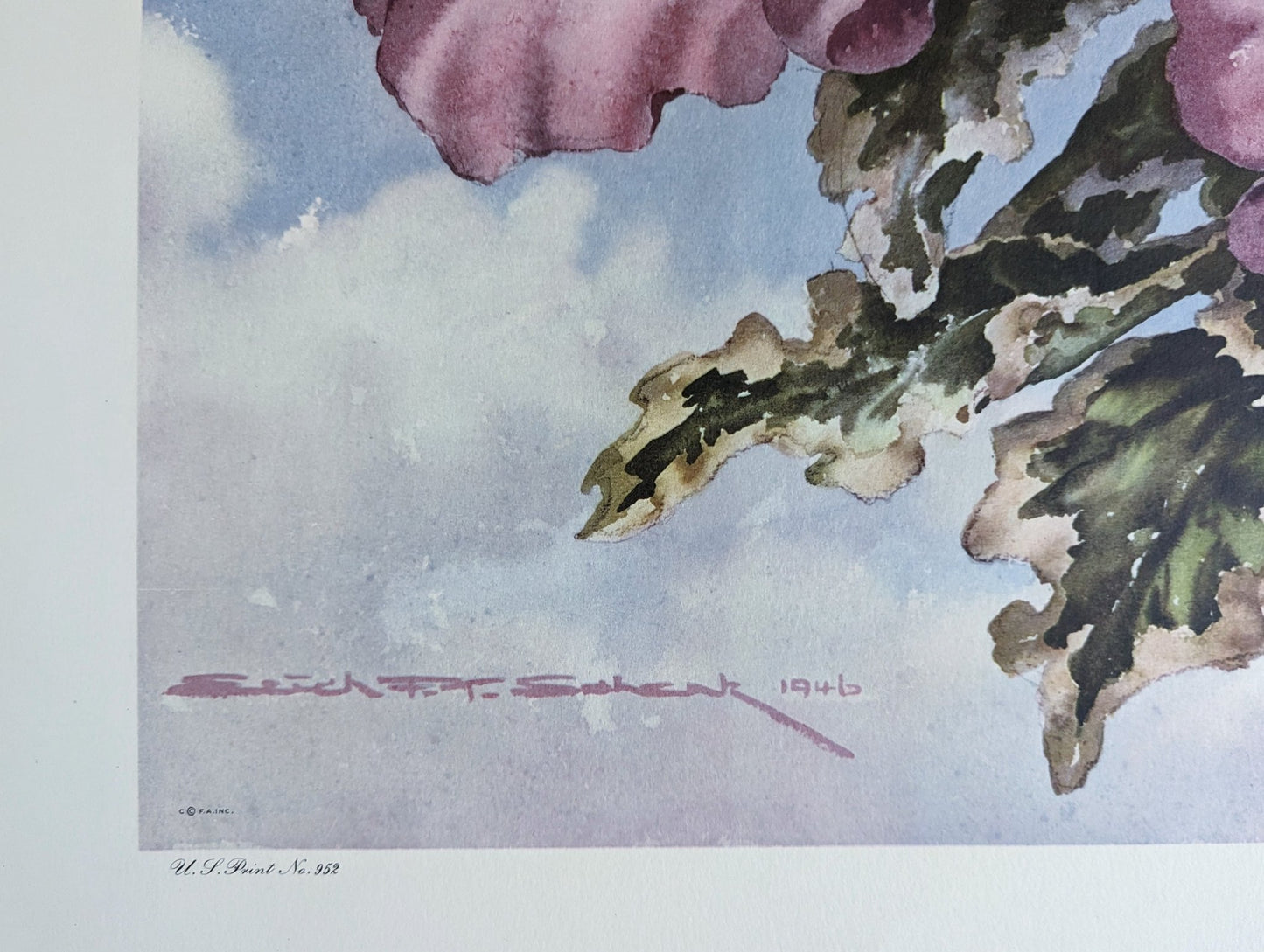 Sky Hibiscus by Erich F.T. Schenk, mint condition authentic vintage lithograph printed in 1947 - Offset Lithograph - Pink Flamingos