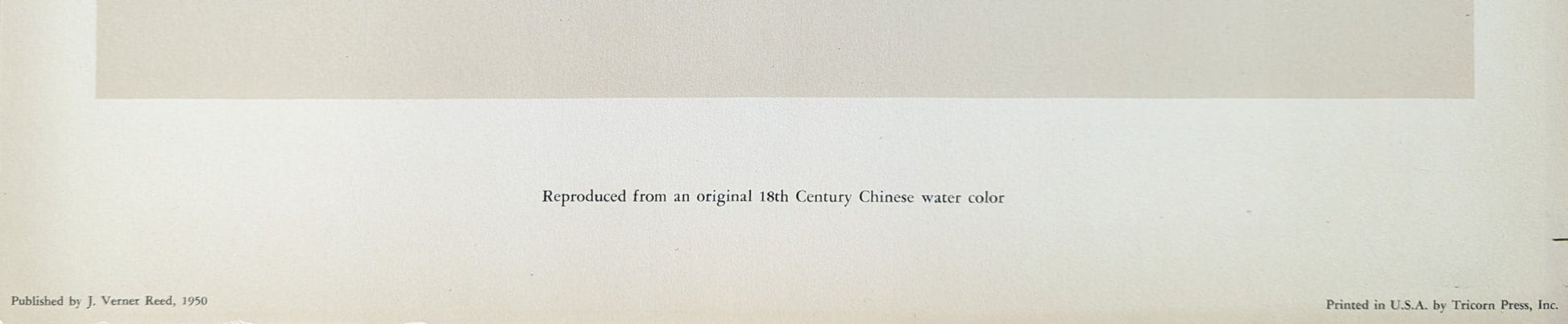 Tangerine - unique vintage collotype wall art circa 1950 from 18th century Chinese artwork - Collotype - Pink Flamingos