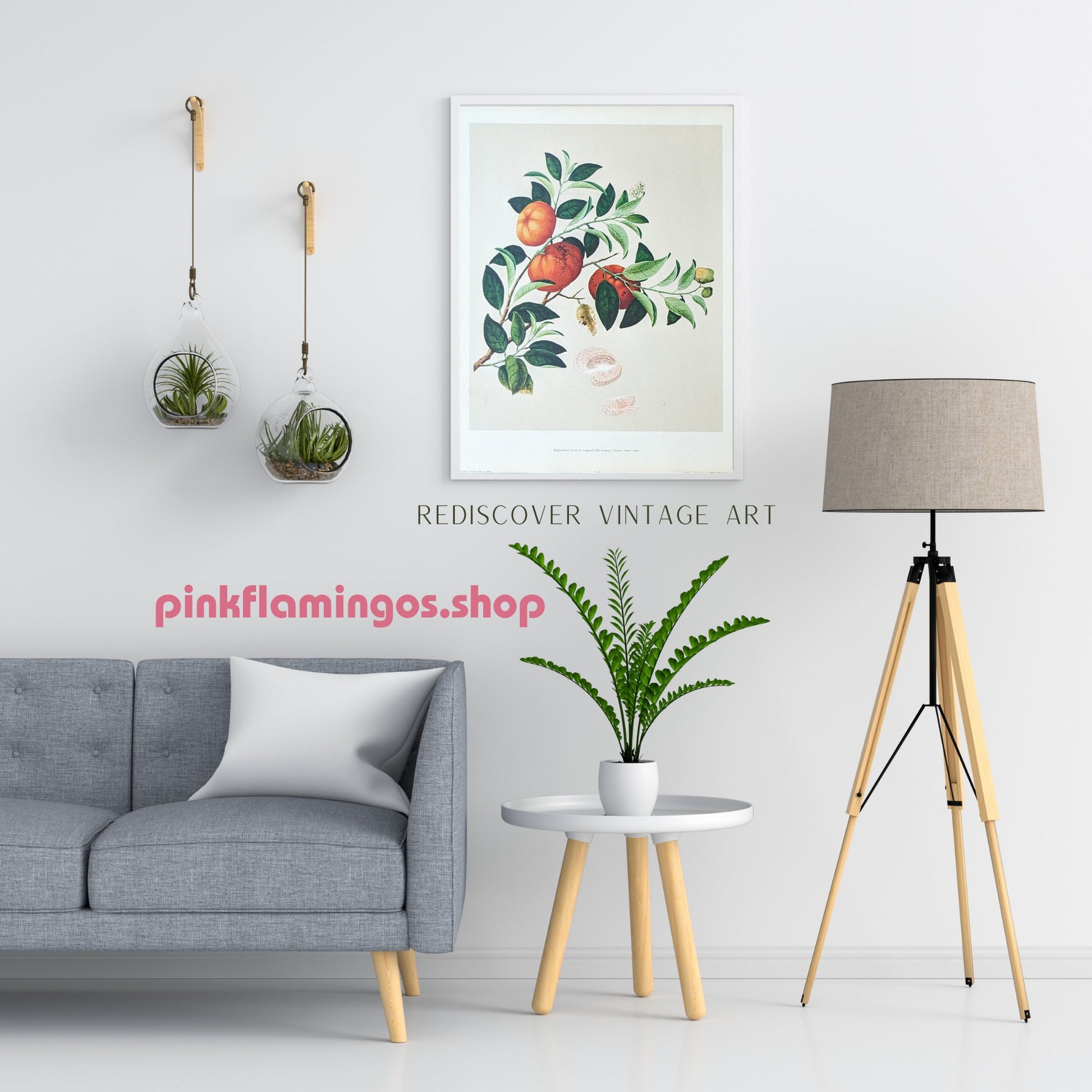 Tangerine - unique vintage collotype wall art circa 1950 from 18th century Chinese artwork - Collotype - Pink Flamingos