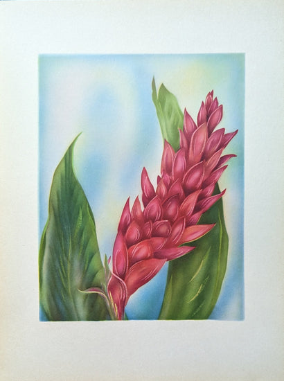 Torch Ginger, mint condition vintage lithograph printed circa 1940 - Offset Lithograph - Pink Flamingos
