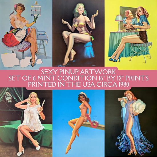 Vintage Pinup 12-Item Gift Set - Authentic Mint Condition Set of 6 Sporty Pinup Greeting Cards and 6 Sexy Pinup Prints - Pink Flamingos