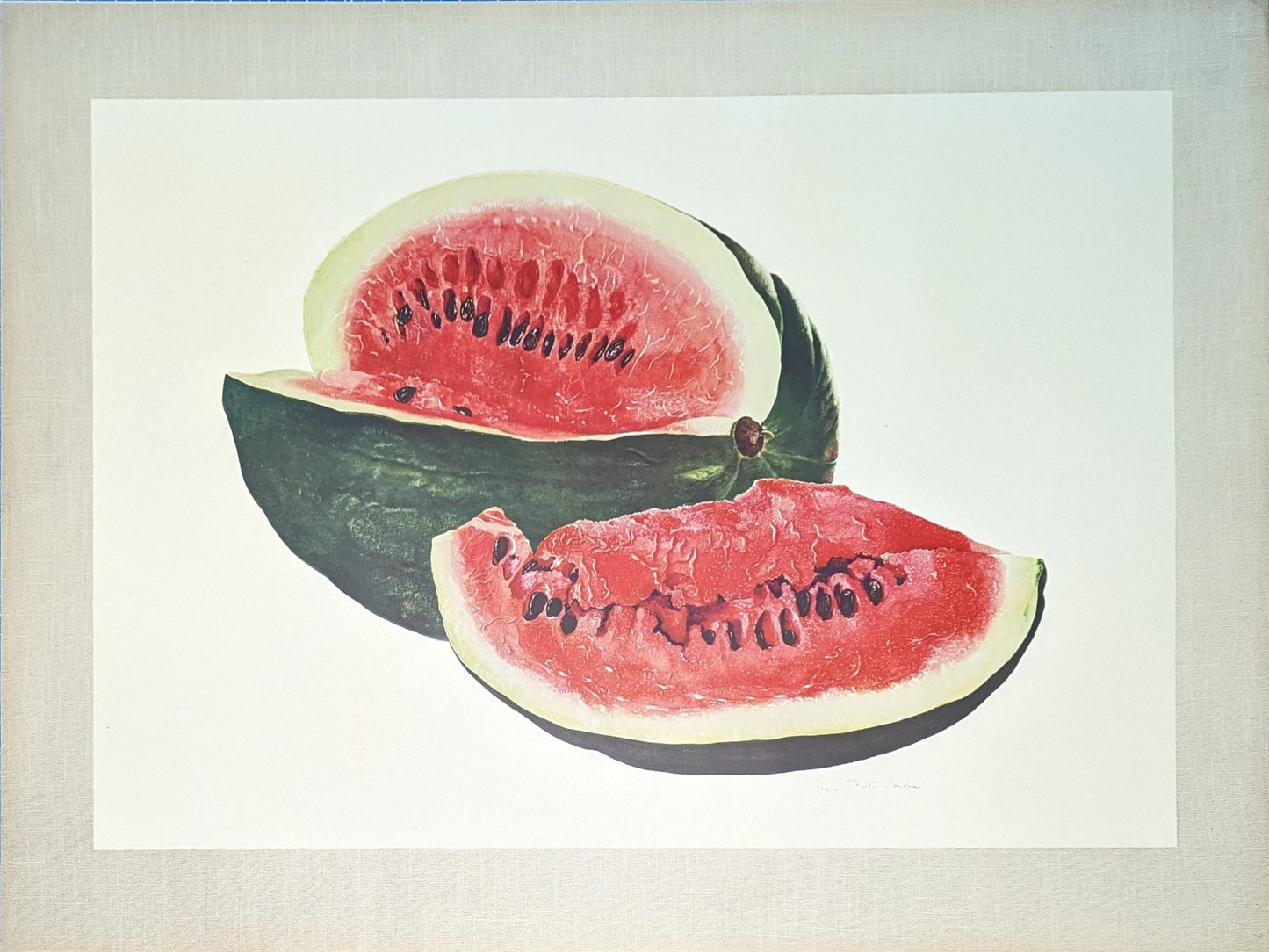 Watermelon by A.P. Lowrie, large mint condition vintage collotype printed in 1950 - Collotype - Pink Flamingos