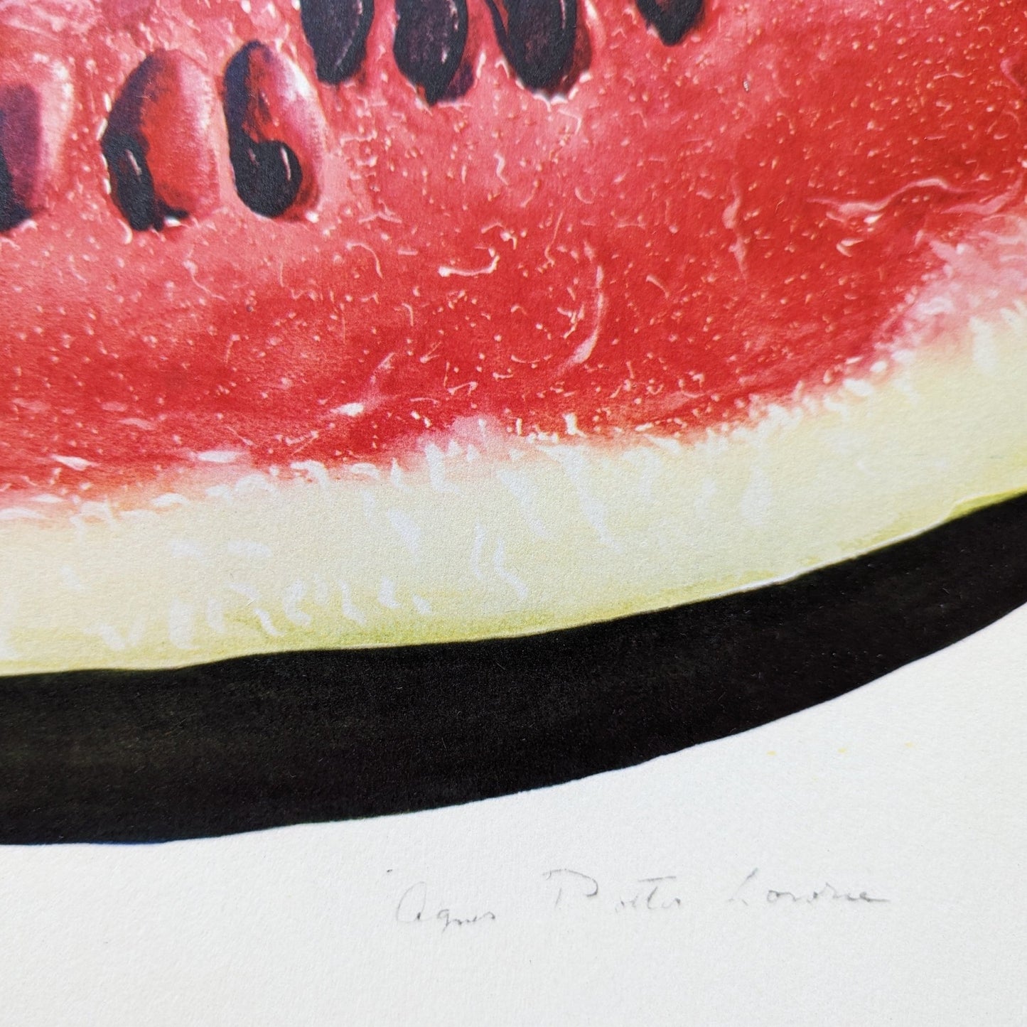 Watermelon by A.P. Lowrie, large mint condition vintage collotype printed in 1950 - Collotype - Pink Flamingos