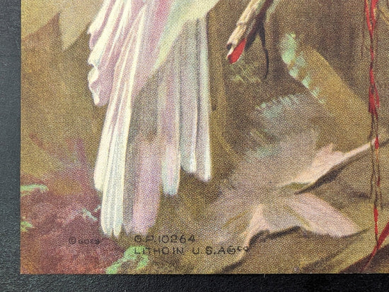 White Cockatoos by Toran, mint condition vintage lithograph printed before 1982 - Pink Flamingos