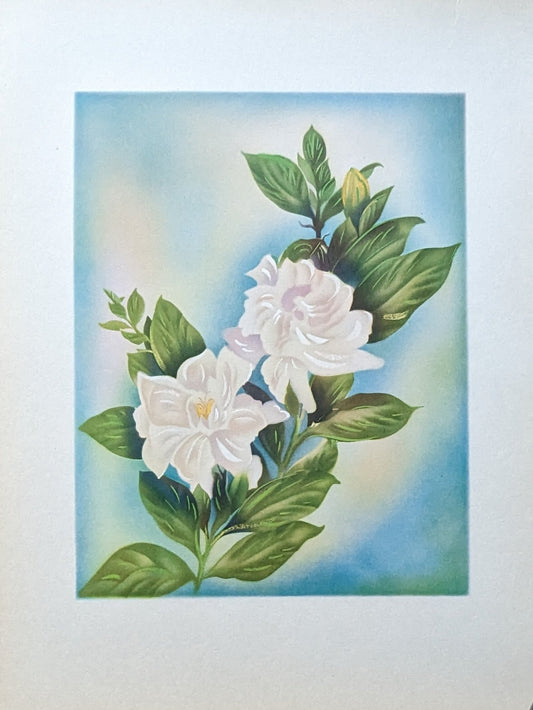 White Gardenia, mint condition vintage lithograph printed circa 1940 - Offset Lithograph - Pink Flamingos