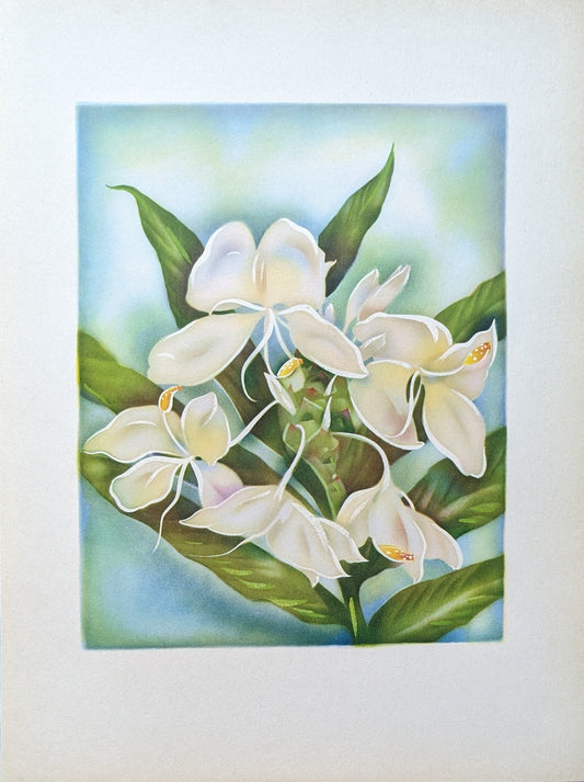 White Ginger, mint condition vintage lithograph printed circa 1940 - Offset Lithograph - Pink Flamingos